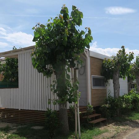 Camping Adriatico 马帝斯兹罗 外观 照片