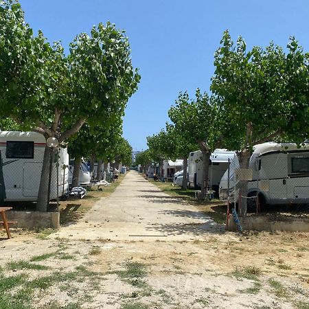 Camping Adriatico 马帝斯兹罗 外观 照片