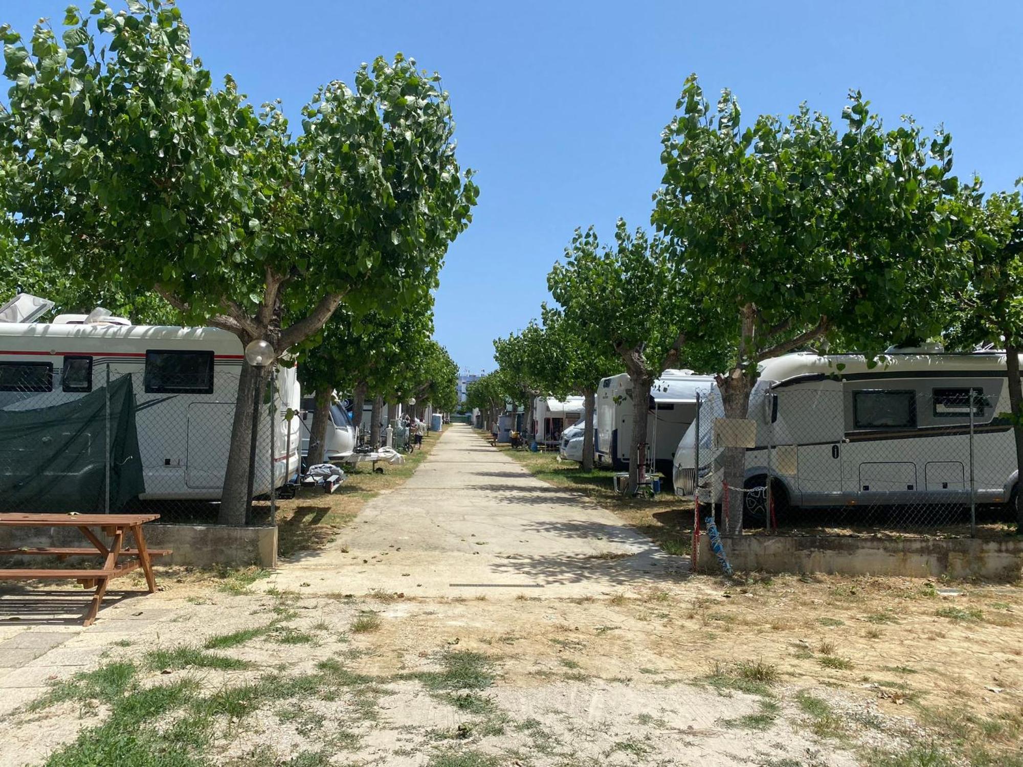 Camping Adriatico 马帝斯兹罗 外观 照片